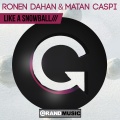 Ronen Dahan - Like a Snowball (OriginalRaveMix)