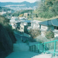 虞姬、嫉命、小可 - 爱情转移