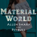 Material World (feat Pitbull)(ADroiD Club Edit)