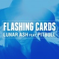 Flashing Cards (feat.Pitbull)(Big Beat Deep Radio Edit)