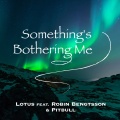 Something's Bothering Me (feat. Robin Bengtsson & Pitbull)(Radio Edit)