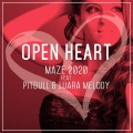 Open Heart (feat. Pitbull and Luara Melody)(Big Beat Remix Edit)