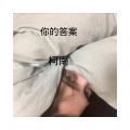 柯南、小伊伊、嫉命 - 雨蝶