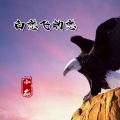 小龙 - 白愁飞的愁