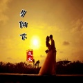 筱震 - 夕阳下