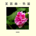 酒城笛歌 - 刘珂矣-芙蓉雨-竹笛