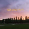 杨西音子 - 迎接金色的明天