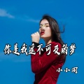 你是我遥不可及的梦 (Remix)