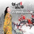 雪花飞过那枝梅 (DJ宇轩Remix水兵舞版)