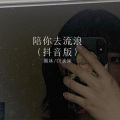 陪你去流浪
