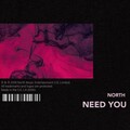North - Need You