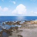 #1 The Best Eastemed Music - 50 Powerful Melodies for Instant Peace & Tranquility