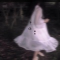 南冥 - 四十二笔