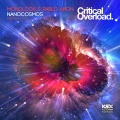 Nanocosmos