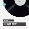 DJ浩宇 - 添酒望白首
