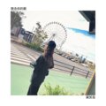 寐加岛、可爱的小团团 - 想念你的歌