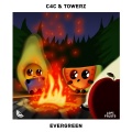 C4C、Towerz - Evergreen