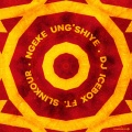 DJ Icebox、Slinkour - Ngeke Ung'shiye (Original Mix)