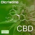 DiCristino - Birthday (BklynHybridTechnoMix)