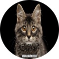 Nykoluke - Cat (OriginalMix)