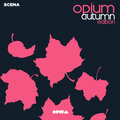 Max Coseglia - Gram