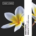 Diego Power - Don't Look at Me (Fly,SashaFashionRemix)