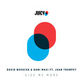 David Novacek、Dani Masi、Robbie Rivera - Give Me More (RobbieRiveraRemix)