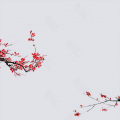 花笙麋 - 咳咳