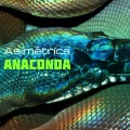 Asimétrica、Konducta  Beats - Anaconda