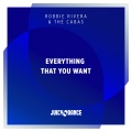 Robbie Rivera、The Cabas - Everything That You Want (GameOverDJSRemix)