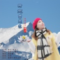秦芹 - 情恋雪莲花