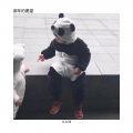 那年的愿望