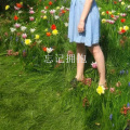 嫉命、少女提莫 - 天空