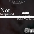 Pandha、Caleb Yandura - Not Surprised (Explicit)