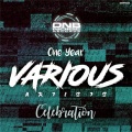 CELEBRATION ONE YEAR