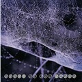 Steve Kilbey、Frank Kearns - Black River