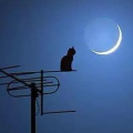 静心听听 - 催眠治疗失眠有效果吗?
