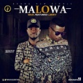 Maxi、Lanky - Malowa