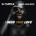 DJ Turtle、Alex Malagoli - I Need Your Love