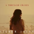 Cigdem Aslan - Tourna