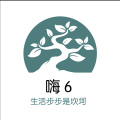 张伦亮 - 凤舞九天 (DJ弹鼓版)