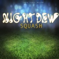 Squash - Night Dew