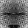 Disprove - Hyuman