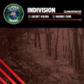 Indivision - Secret Vision