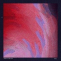 allem iversom、Leaf Beach - creep