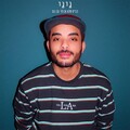 גיגי - דברים שלא הכרתי