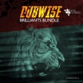 Invisible Landscape、Ragga Twins - Brock Wild