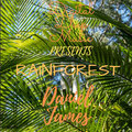 Daniel James - Rainforest