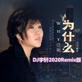 DJ宇轩Remix、庄妮 - 为什么