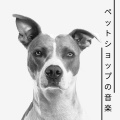 ペットショップ - 不安障害 克服